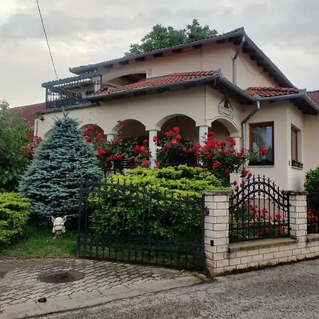 Aurora Haz Apartment *
